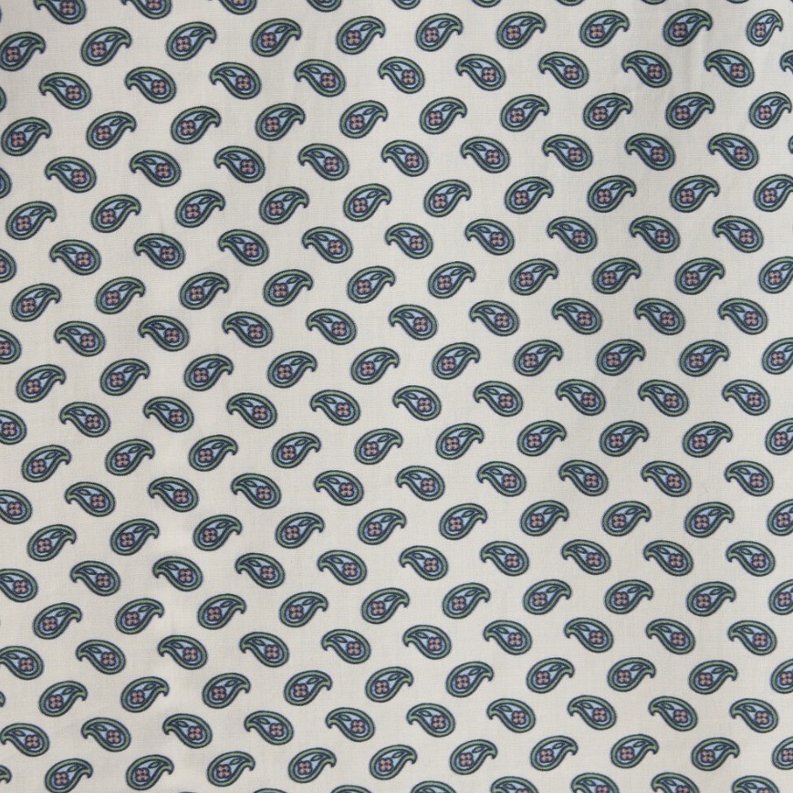 ETRO Hemd MICRO P