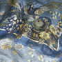 ETRO Schal PAON